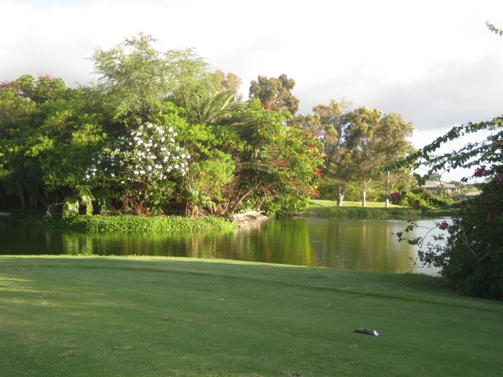 maui 2009 4